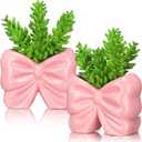 2 Pcs Coquette Bow Succulent Pots with Drainage Pink Bowtie Ceramic Planter Pots Plants Holder Bowtie Shaped Cactus Flower Container for Home and Office Desk Display Coquette Party Decoration