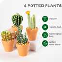 Oairse Mini Artificial Cactus Plants in Terracotta Pots 4 Pcs Potted Faux Succulents in Pots Fake Potted Plants Cactus Decor Small Artificial Plants for Home Decor Indoor Office Desk Tabletop Shelf