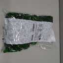 Albanese Candy, Green Apple Gummi Bears, 5-pound Bag (EXP 02/20/26)