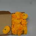 Hananona 50 Pcs Marigold Flower Heads Bulk, Silk Marigolds with Stems Artificial Mexican Flowers for Diwali Day of The Dead Dia De Los Muertos Ofrenda Decor