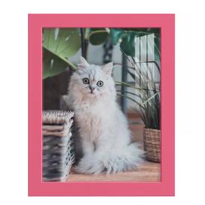 Modern 8 in. x 10 in. Hot Pink Picture Frame