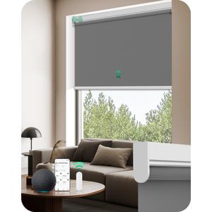 Allesin Motorized Roller Blinds with Remote Control for Windows, 100% Blackout Smart Shades with Quiet Motor, Dry Battery Powered Electric Blind (Smoky Gray 36" W x 72" H)