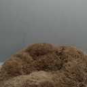 MIXJOY Orthopedic Dog Bed Comfortable Donut Cuddler Round Pet Beds Ultra Soft Washable Dog and Cat Cushion (20''/23''/30'') (23'', Brown)