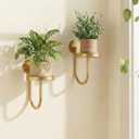 Leaf&lull Wall Plant Holder Planter with Wall Planters for Indoor Plants Plant Hanger Hanging Plant Holder Wall Hanging Decor 2 Pack Golden