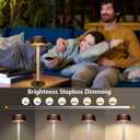 Cordless Table Lamps Set of 2,Lava lamp,Bubble stem,Water Droplet stem,Crystal Effect,5000mAh Battery Operated, 3 Color Stepless Dimming Up, for Restaurant/Bedroom/Bars/Outdoor Party/Camping/Coffee (Gold brown-2Pack)