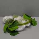 Nubry 22.44In White Hydrangea Artificial Flowers,4Pcs Latex Faux Real Touch Large Hydrangea Flowers with Long Stems & Leaves for Home Office Decor Wedding Party Arrangements(White)