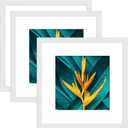 20X20 Frames, Square Picture Frame 20 by 20, Wood Photo Frame 20 x 20, Display Picture 16x16 with Mat or 20 x 20 without Mat, White Wooden Frames, 3 Pack Wall Mounting Poster Frame