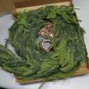 Crblowh 6 Ft Norfolk Pine Garland, Christmas Garland with Lights Automatic ON/Off, Christmas Decorations Indoor Outdoor, Real Touch Artificial Cedar Garland for Table, Fireplace, Mantle, Wall