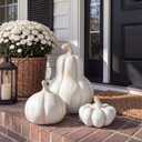 AceOrbit 3 Pcs Fall Decor Outdoor Handmade Terracotta Pumpkins, Beige, 2.6 x 9.1 inch; 6.7 x 6.3 inch; 3.5 x 5.1 inch