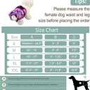 Female Dog Diapers - Premium Reusable Diapers for Doggie in Heat - Highly Absorbent for Pet Incontinence with Adjustable Snaps Butterfly, L