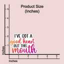 2 x (3 pcs) I've Got A Good Heart But This Mouth Sticker for Tumbler Funny Sarcastic Quote Vinyl Decal for Kindle Laptop Water Bottle Phone Hard Hat - 3x2.3