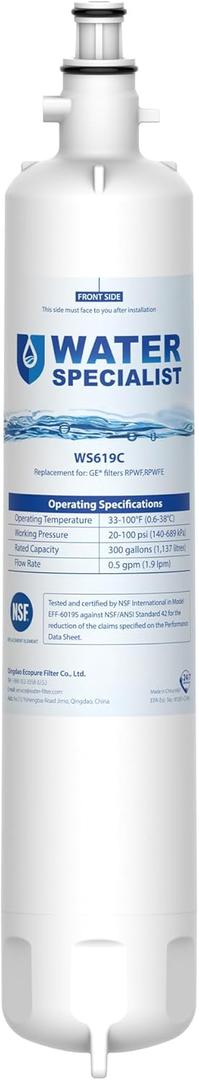 Waterspecialist WS619C Replacement for RPWFE, RPWF (Built-in CHIP) Refrigerator Water Filter, Compatible with GYS22GMNES, GYE22HSKSS, PYE22PELDS, GFE26GMKES, GFE26GGHWW, GFE28GYNFS, PFE28KYNFS