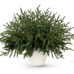 14 Pcs Norfolk Pine Stems, 18 Inch Real Touch Artificial Christmas Norfolk Pine Branch, Faux Greenery Picks for Vase DIY Garland Home Holiday Decor