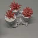 Der Rose 3 Pcs Fake Succulents Plants Artificial Pink Room Office Desk Decor for Women