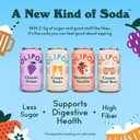 OLIPOP Prebiotic Soda Pop, Favorites Variety, Pantry Pack Packed with Prebiotics, Fiber, and Botanicals, Gluten Free, Vegan, GMO Free, 12oz (12-Cans)
