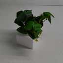 DILATATA Fake Plants Indoor 8 Inch Artificial Pothos Plant in White Ceramic Pot - Faux Potted Pothos Plant for Home Aesthetic Decor Living Room Shelf Office