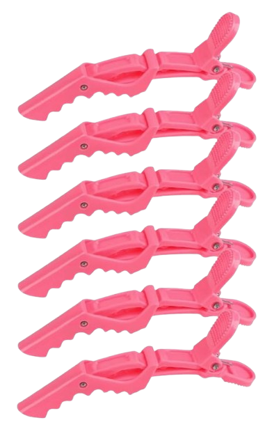 6 Pieces Hair Sectioning Clips