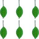 2 x Twofishes 12 Pcs Green Leaves Shower Curtain Hooks Decorative Rust Proof Resin Green Leaf Shower Curtain Hooks