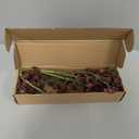Thiccywoov 3 Pcs Plum Faux Berry Stems Artificial Dusty Sedum Berry Stems Picks Branches Faux Spray for DIY Holiday Farmhouse Home Mantel Harvest Decorations (16 Inch)