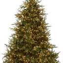 National Tree Company 7.5 ft Pre-Lit Fraser Grande Artificial Christmas Tree, 1,000 Clear Lights, 3,719 Tips, Includes Stand, Green