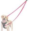PetBonus Two Point Control Dog Leash, Works with No Pull Harnesses, No Tangle Training Leashes, Soft Padded and Reflective Walking Lead, Converts to Single Lead for Medium Large Dogs (Pink)