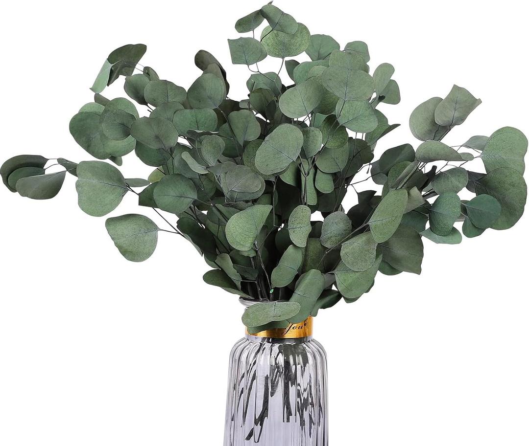 Real Eucalyptus Stems 20PCS Dried Preserved Fresh Eucalyptus Silver Dollar Leaves for Shower - Greenery Branches for Wedding Home Party Vase Filler Spring Decor (Green Style 02)