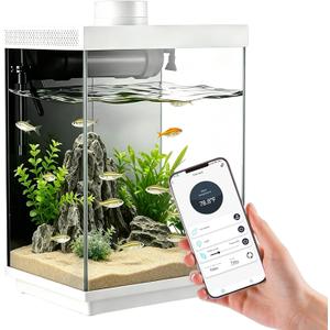 3 Gallon Smart Aquarium Kit, APP Control, Auto Feeder, LED Light, Self-Cleaning Filter, Glass Desktop Tank for Betta/Tetra/Goldfish, Dual-Tank Feeding Supported, Divider Not Included