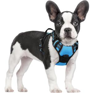 rabbitgoo Dog Harness No Pull with 2 Leash Clips, Adjustable Soft Padded, Reflective Oxford No Choke Pet Vest with Easy Control Handle for Small Dogs, Blue, S