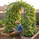 SUNYRISY Garden Arch Trellis for Climbing Plants Outdoor, 71" x 47" x 83" Metal Core Tall Archway Tunnel Plant Support for Cucumber Tomato Vine Flowers Vegetables Climbing Plants