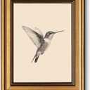 VIYYIEA Vintage Gold Framed Wall Art, Sketch Birds Canvas Painting, Cute but Exquisite Wall Decor, No Glass No Glare, Suitable for Bedside Tables, Foyer, Bookshelves,Hummingbird-10L x 8W