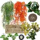 Tfwadmx 15Pcs Bearded Dragon Tank Accessories, Reptile Plants, Reptile Hammock, Lizard Habitat Decor with Terrarium Plants Hygrometer for Geckos Snakes Chameleons (Type2)