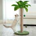 Dohump Cat Scratching Post, 26" Kitten Scratching Post with Premium Sisal Rope, Cute Cat Tree with Dangling and Spring Ball Toys for Indoor Small Cats (Green)