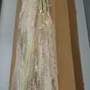 40" inch 36 Stems Natural Pampas Grass Decor Tall, Boho Home Decor,Pompas Grass, Dried Tall Pampas Grass for Wedding Floral Arrangements, Farmhouse,Party