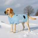 Kuoser XS Dog Sweater for Teacup Puppies | Foldable High Neck Warm Chihuahua on Morning Walks, Snuggly Knit with Easy-On Sleeve Holes, Blue XS (XS (Chest: 11.8'' / 30cm))