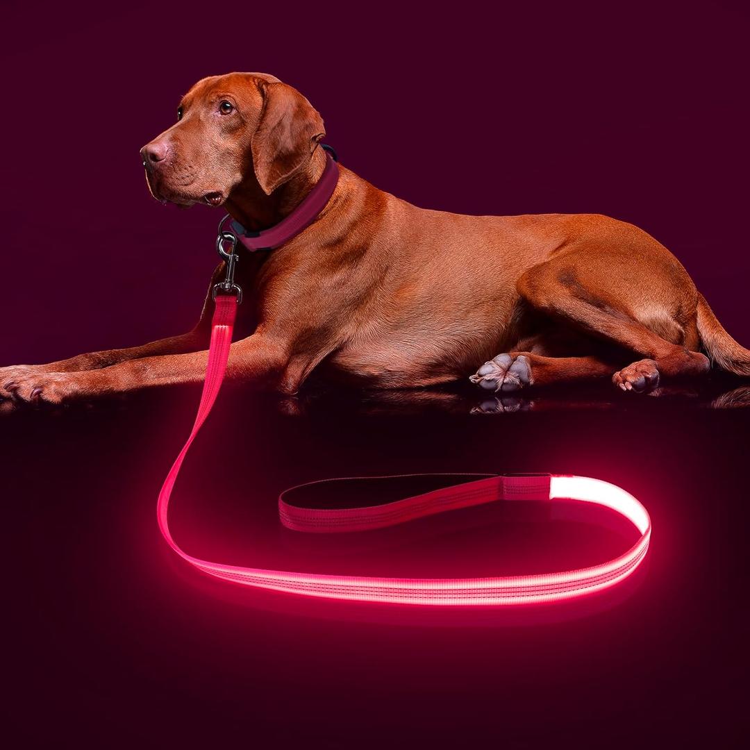 Colaseeme Light Up Dog Leash, LED Pet Leashes USB Rechargeable, Glow Safety Dogs Lights at Night (4FT,Pink)
