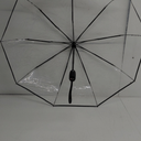 REPEL Automatic Rain Umbrella, Clear Foldable Travel Umbrella Windproof Portable Umbrella for Outdoor Wedding Dating Camping