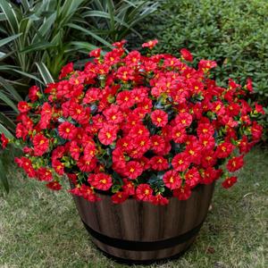 Nigirior Artificial Faux Flowers for Outdoor 16 Bundles Boxwood Fake Morning Glory for Planter,UV Resistant Fake Flowers for Home Porch Patio OutsideRed