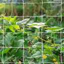 Tcamp Heavy-Duty Polyester Garden Trellis Netting Plant Climbing Net for Growing Vines Plants Vegetables Fruits Flowers, White Grow Tent (5Ft x15Ft, 3.5" Opening Mesh, 1 Pack)