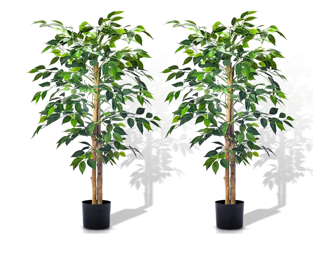 Aphighjoy 4Ft&5Ft Artificial Ficus Trees with Silk Leaves Fake Moss and Sturdy Nursery Pot, Fake Plants for Office Home Decor (4Ft/5Ft - 2 Packs)