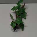 AQUA KT Reptile Corner Branch Terrarium Plant Decoration with Suction Cup for Amphibian Lizard Snake Climbing