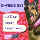 Service Dog Collar, Leash & Wrap Set Pink Sparkly Minky Adjustable for Medium & Large Dogs Durable Statement Design for Dogs that Stand Out (S: 15-17")