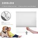 Changshade Cordless Cellular Shades, Light Filtering Honeycomb Blinds for Indoor Windows Bedroom, Pull Down Pleated Accordion Blind Easy Install, Shade Size 34.5" Wx72 H, White