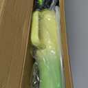 BJPKPK Insulated Water Bottles with Straw Lid, 40oz Metal Water Bottle with 2 lids & Paracord Strap, Double Wall Stainless Steel Tumbler with Handle, Reusable Cups, Mugs, Thermo, Fresh Green