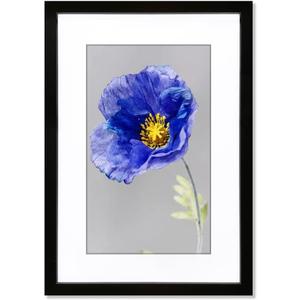 VNVNK 16x24 Frame Black, Perfect for 16x24 Inch Picture without Mat or 14x20 Inch Picture with Mat, Home Wall Decor Picture Frame-1 PCS