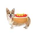 Hot Dog Pet Dog Costumes，Funny Food Halloween Pet Apparel Costume Halloween Party Dog Clothing Funny Pets Party Cosplay Apparel for Dogs and Cats (Medium)