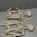 Amazon.com: CAMIRUS 2PACK 36" Skeleton Halloween Decorations, 3ft Life Full Size Skeleton with Realistic Posable Movable Joints for Halloween Haunted Houses, Lawn, Graveyard : Patio, Lawn & Garden