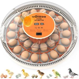 30 Egg Incubator, Incubators for Hatching Eggs with Auto Egg Turner, Automatic Temperature Control, LED Candle Light, No-Opening Lid Water Refill, 360° View for Chicken Quail Parrot Birds Eggs