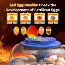18 Egg Incubators for Hatching Eggs, 360 View with Automatic Egg Turning & Humidity Control, Built-in Egg Candler for Hatching Chicken, Duck, Goose, Quail, Ideal for Home, Classroom, Laboratory, Farm