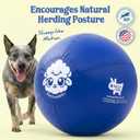 Race&Herd 25" Original XXL Best Herding Ball for Dogs Large - Herding Toys, Durable Outdoor Big Dog Herding Ball for Australian Shepherd, Corgis, Border Collie Ball - Medium to Large Breeds (Blue)