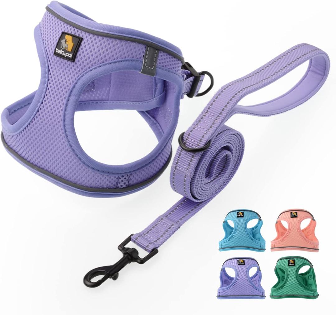 BELLA & PAL Puppy Harness with Leash Set, Step in Harness for Small Dogs, Dog Air Mesh Dog Vest Harness with Reflective Strip, No Pull No-Chock Harness for Dog (Lavender, Size XS)